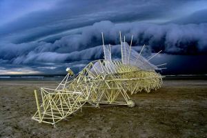 loekvanderklis-strandbeest-06