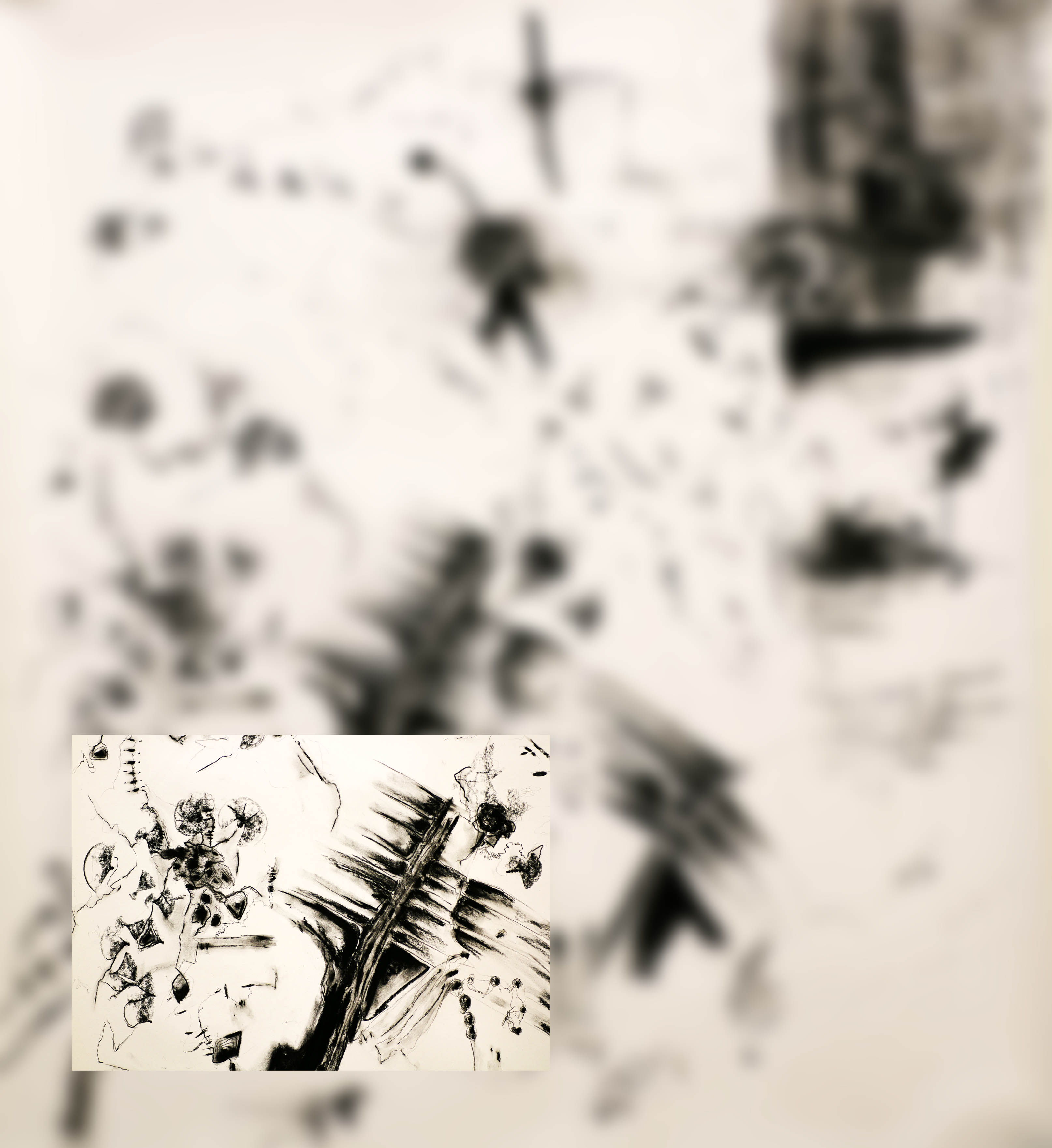 extintion-normaal-klein-blur