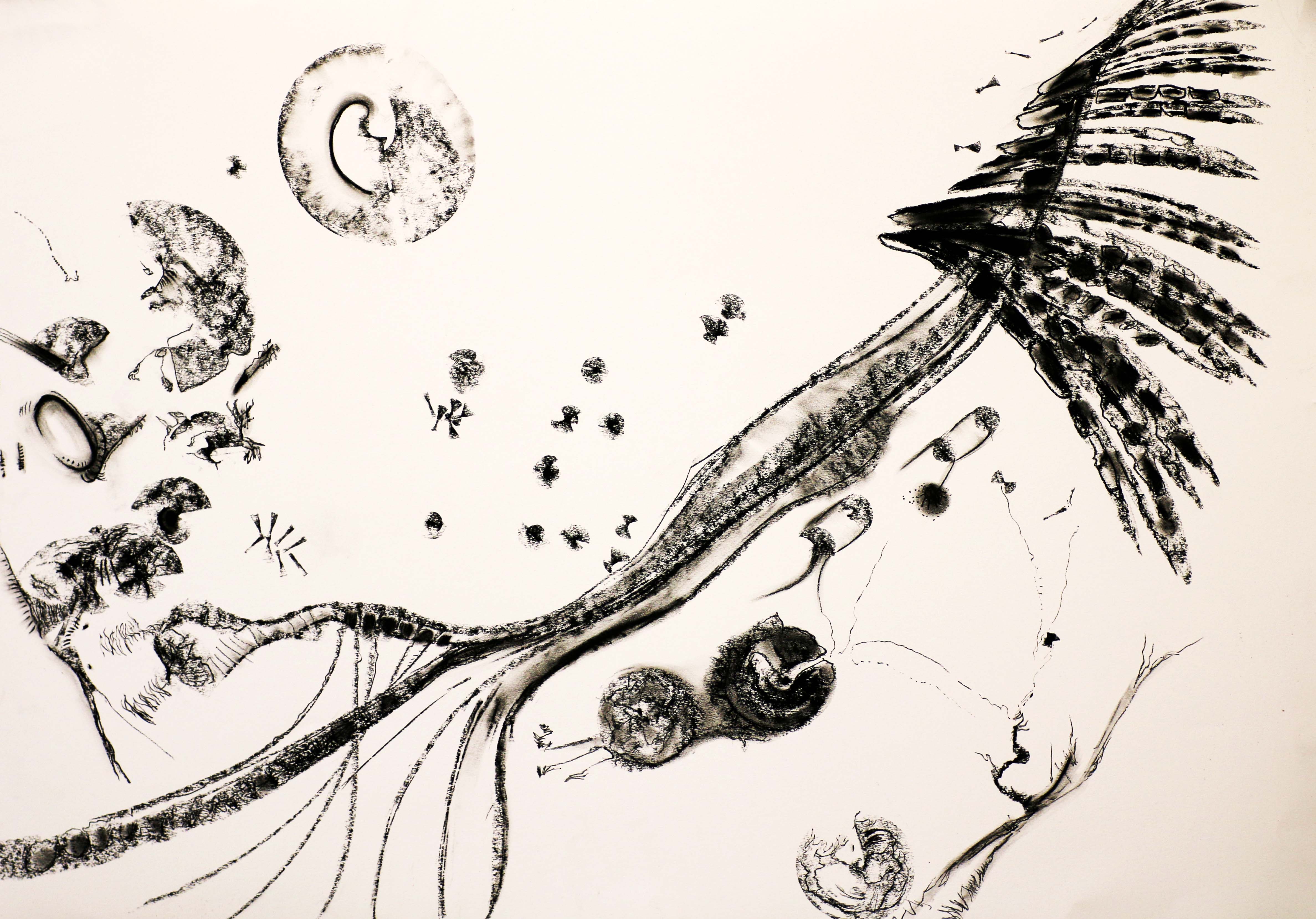 on-the-origin-of-species-11-klein